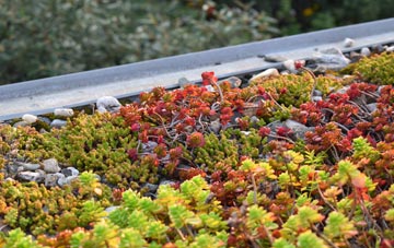 the cost of Hurliness green roof installation