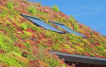 Hurliness living roof systems
