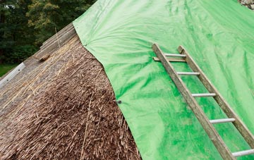 maintaining Hurliness thatch
